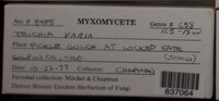Image Associated With the Occurence
